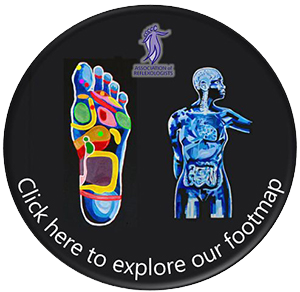 Lesley Tucker Reflexology Foot Map
