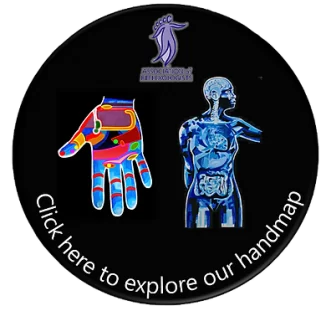 Lesley Tucker Reflexology Hand Map